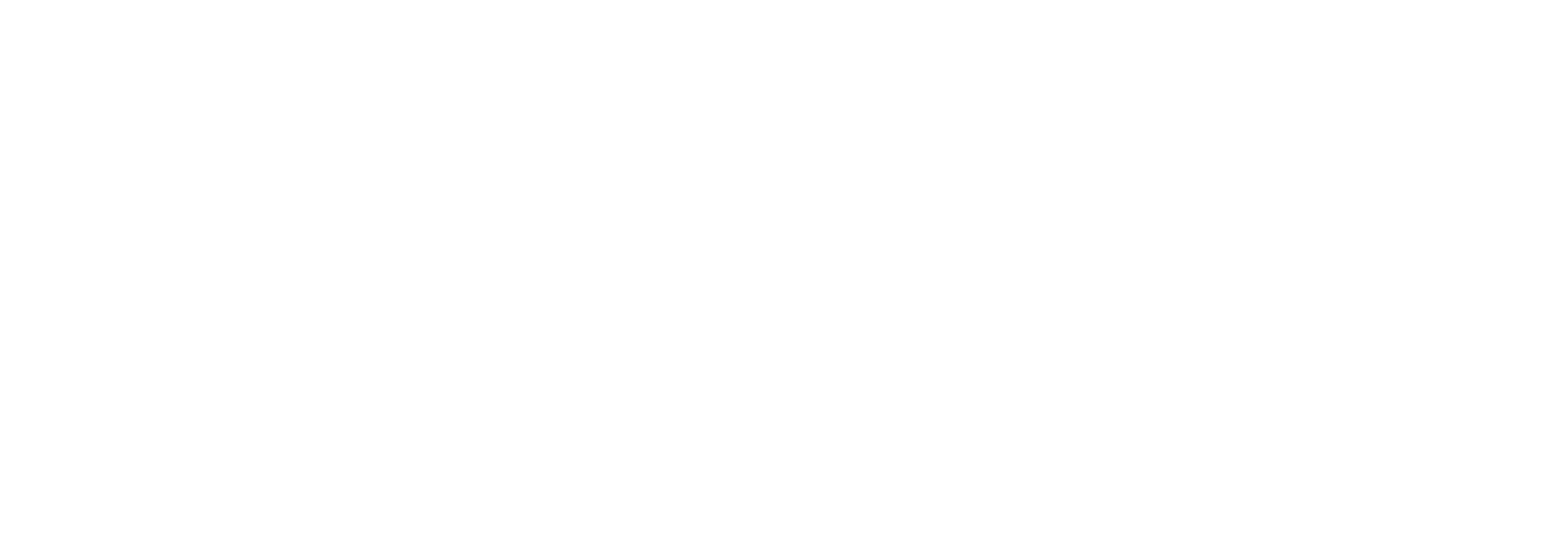 Logotipo de Belzunces Transportes en blanco.